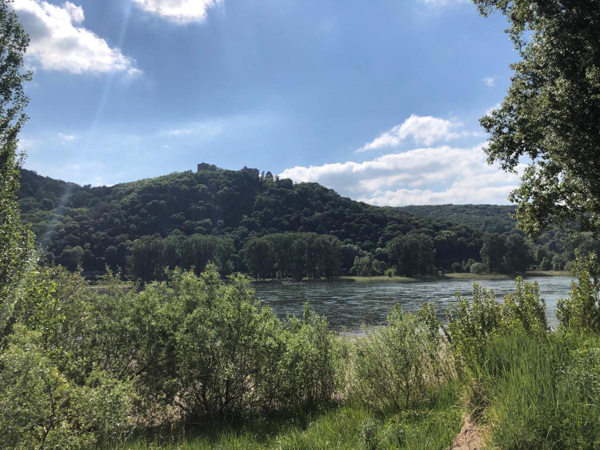 T&T Ferienwohnung Rheinbrohl Dış mekan fotoğraf